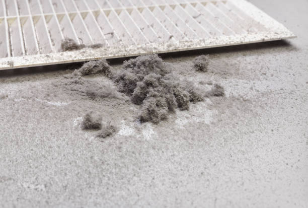 Best Air Duct Cleaning Near Me  in Greenville, TX