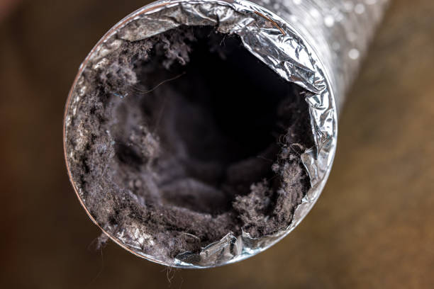 Best HVAC System Cleaning  in Greenville, TX